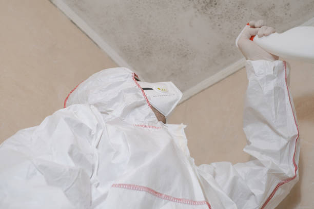 Best Mold Removal and Inspection  in Grundy Center, IA