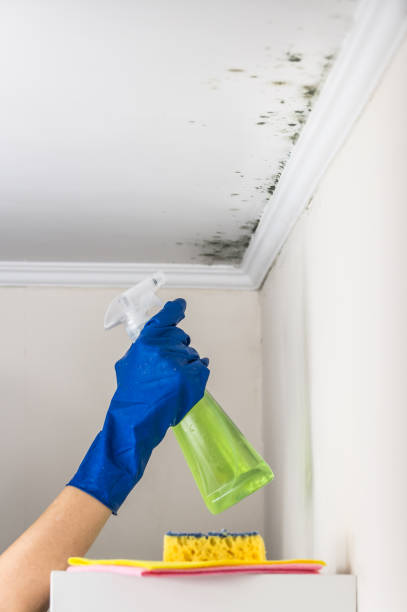 Water Damage Restoration in Grundy Center, IA